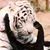 Terri LaBelle's profile image