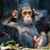 Bill Anderson's profile image