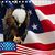 Randi Sisti's profile image