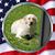 Charlene Santora-Martin's profile image