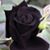 Victor Cadena's profile image