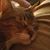 Michelle Johnson's profile image