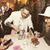 Brian Galati's profile image