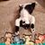 Michelle Godak's profile image