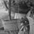 Nicole Pete-lacang's profile image