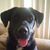 Francine Wojtulski Harris's profile image