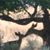 Coralee Popp's profile image