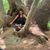 Phaedras Page's profile image