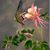 Emily Humenansky's profile image