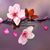 Vera Zacharopoulos's profile image