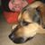 Brock Steven Weech's profile image