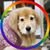 Stephen Taylor's profile image