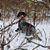 Michael Killay's profile image