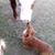 Lisa Scruggs Averette's profile image