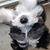 Michelle Roberts's profile image