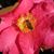 Lynn Liptak's profile image