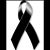 'Michelle Rocha's profile image