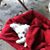 Dawn M Wood's profile image