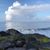 Sandra Paquet's profile image
