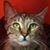 Rachelle Keller's profile image
