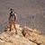 Matthew McGillivray's profile image