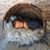 Tara McManus's profile image