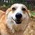 Rachel Novick's profile image