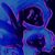 Kimberly Lohr's profile image