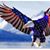 Tami Thompson's profile image