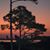 Carol Rives Smith's profile image