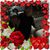 Debbie Carter Soles-Smith's profile image