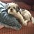 Mary MacKenzie Giberson's profile image