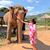 Christi Osborne Renegar's profile image