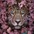 Joan Domina's profile image