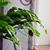 Leah Kerwin's profile image