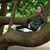 Elizabeth Elwer's profile image