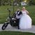 Lori Stephens's profile image