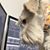 Maurix Trader's profile image