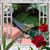 Nanne Wright's profile image