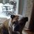 Sheila Carter Mertz's profile image