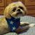 Linda Melcher's profile image