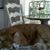 Diane Colegrove Burica's profile image
