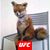 Ricky James Bish's profile image