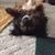 Bruce Carman's profile image