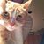 Robin Gilinger's profile image
