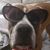 Denise Antonacci's profile image