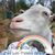 Justina Keister Bunny Meurer's profile image