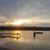 Laura B. Salchow Davis's profile image