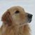 Dave MacEwan's profile image
