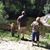 Shelly Crist's profile image